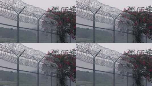 深圳香港边界警戒线边境线高清在线视频素材下载