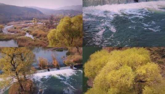 秋天景色 黄树 枯草 小河 河流 美景高清在线视频素材下载
