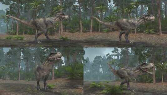 侏罗纪 霸王龙 远古时期 博物馆 动物园高清在线视频素材下载