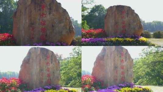 广州天河华南植物园高清在线视频素材下载