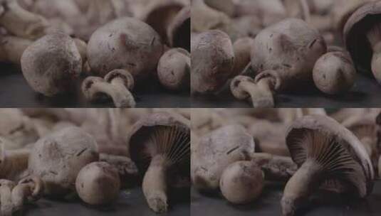 新鲜松蘑红蘑松树蘑菇LOG视频素材高清在线视频素材下载