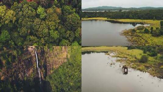 航拍热带雨林农田瀑布大象喝水河流湖泊高清在线视频素材下载