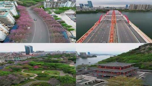 柳州城市建筑竖屏多镜头2023年高清在线视频素材下载