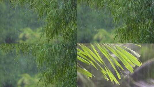 4k雨水自然24节气风景下雨高清在线视频素材下载
