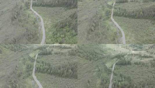 航拍雪山下森林公路 高角度俯拍 D-log文件高清在线视频素材下载
