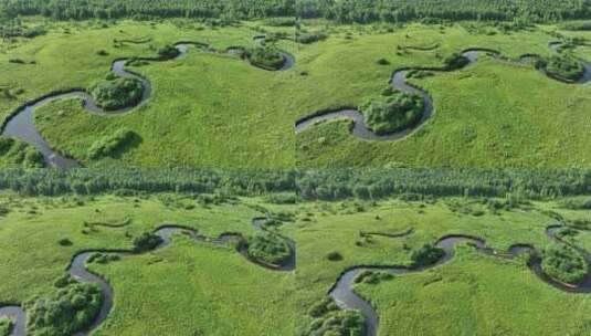 航拍森林湿地曲折的河湾高清在线视频素材下载