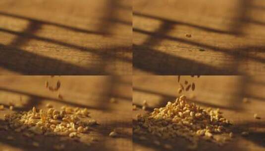 小麦粒掉落5高清在线视频素材下载