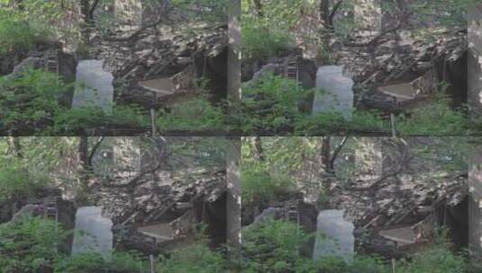 被遗弃的老房子房顶上的瓦片高清在线视频素材下载