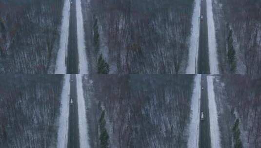 冬季的森林公路车辆前行高清在线视频素材下载