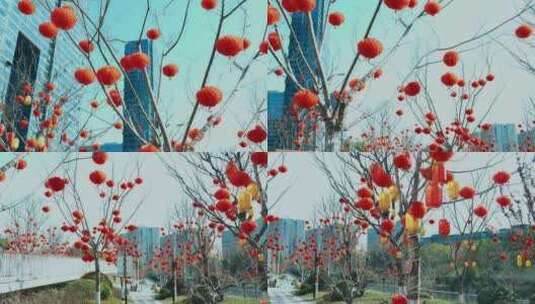 余杭未来城城市公园树上的红灯笼高清在线视频素材下载