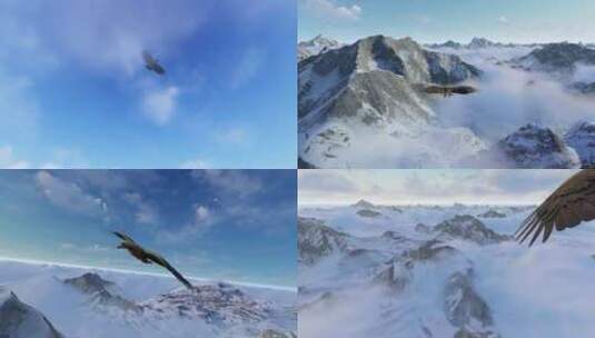 一只雄鹰飞越雪山高清在线视频素材下载