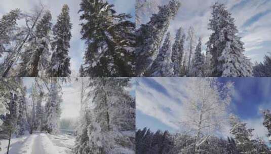 雪景森林地拍高清在线视频素材下载