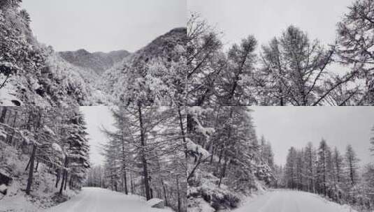 秦岭雪景高清在线视频素材下载