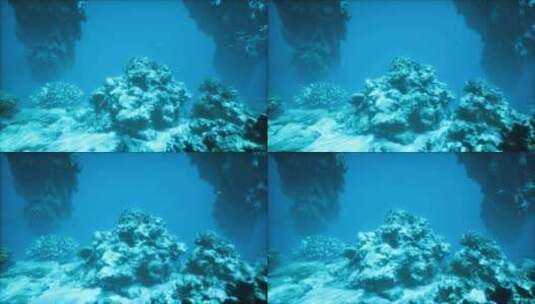 海洋中珊瑚礁的水下景观高清在线视频素材下载