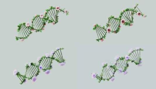 生物技术DNA基因高清在线视频素材下载