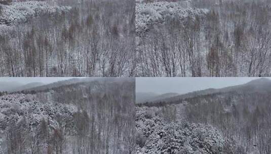 航拍东北下暴雪林海雪原威虎山高清在线视频素材下载