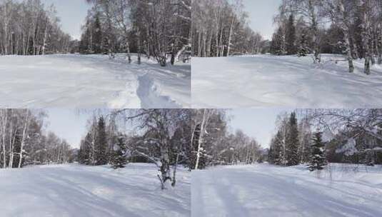 航拍新疆禾木雪景森林雪地白桦林积雪中穿行高清在线视频素材下载