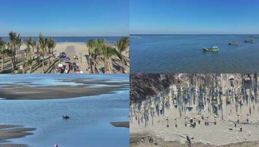 大海风车海鸟旅游景点高清在线视频素材下载
