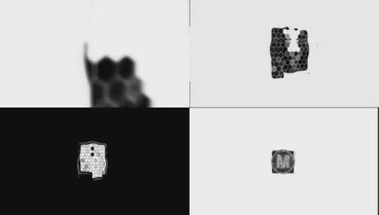 黑白颗粒简约LOGO开场展示AE模板高清AE视频素材下载