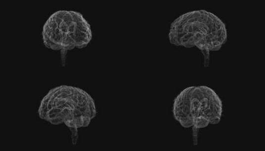 医学 大脑 脑科学 三维 脑ct1 模型高清在线视频素材下载