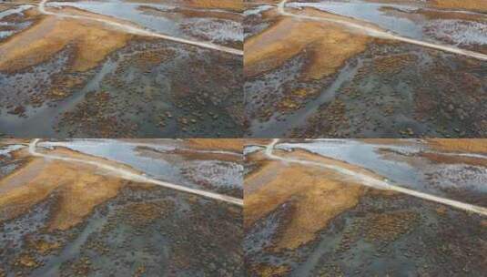 湿地沼泽视频金秋季节青藏高原金色草甸河流高清在线视频素材下载