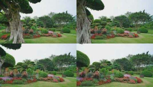 南宁南湖公园园艺造型花坛唯美四季花园高清在线视频素材下载