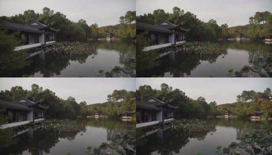 杭州西湖景区曲院风荷风景高清在线视频素材下载