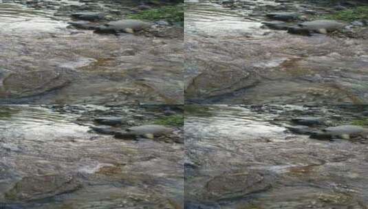 河水水流高清在线视频素材下载