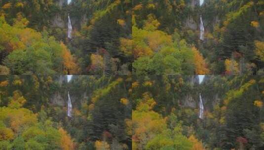 秋天森林中的瀑布高清在线视频素材下载
