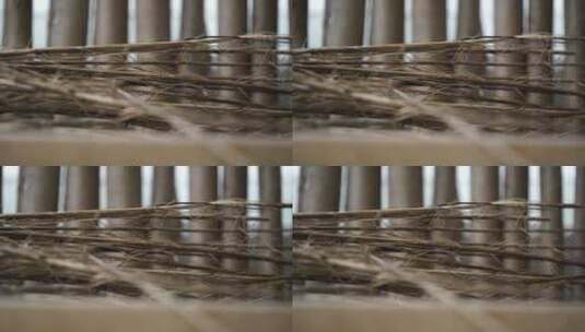 亚麻汉麻苎麻纤维原料超清晰特写高清在线视频素材下载