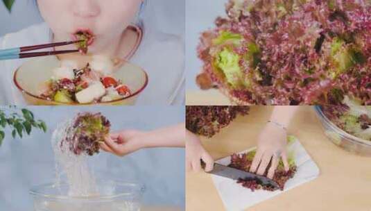 紫叶生菜高清在线视频素材下载