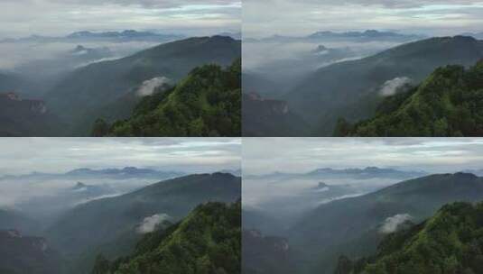 湖北神农架神农顶云雾缭绕自然风光高清在线视频素材下载