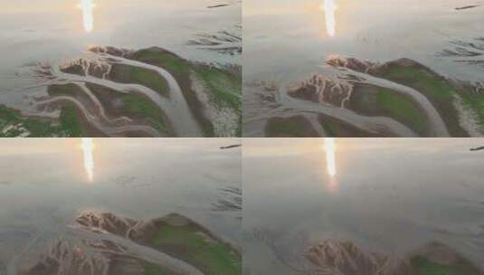 夕阳下鄱阳湖生命之树及候鸟纷飞的景观视频高清在线视频素材下载