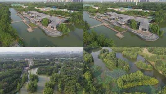 浐灞国际湿地公园2高清在线视频素材下载