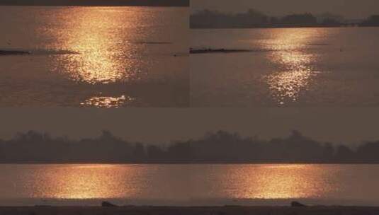 金色朝霞晚霞掩映在水波荡漾的湖面上高清在线视频素材下载