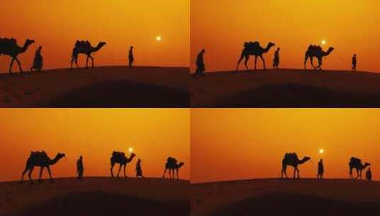 日落时分牵着骆驼走的人高清在线视频素材下载