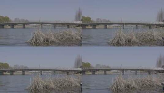 4K冬天水边的枯芦苇和桥高清在线视频素材下载