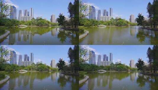 深圳洪湖公园水倒影树木城市建筑延时D高清在线视频素材下载