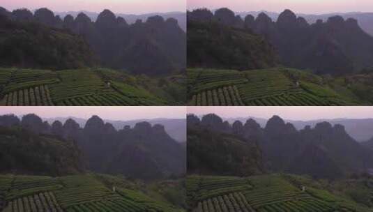 山脉上的茶田高清在线视频素材下载