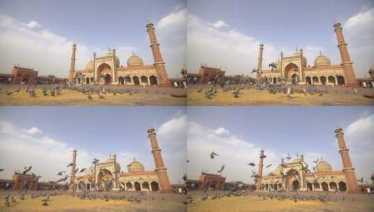 清真寺前鸽群起飞的慢动作高清在线视频素材下载