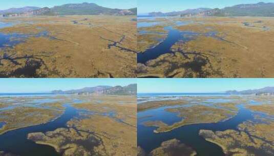 芦苇三角洲滨海空中沼泽湿地和湖泊高清在线视频素材下载