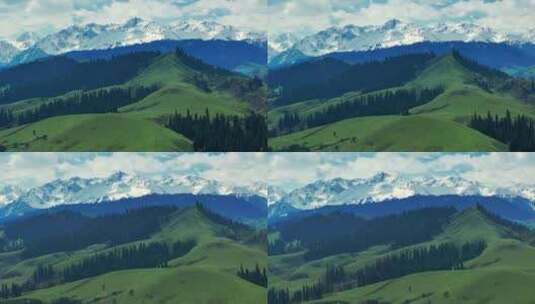 新疆伊犁草原雪山风景高清在线视频素材下载