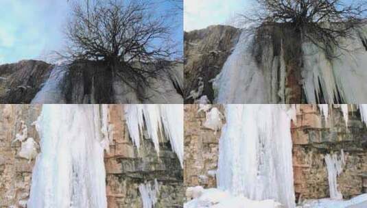 凝结在巨大的冰挂中的一棵树高清在线视频素材下载