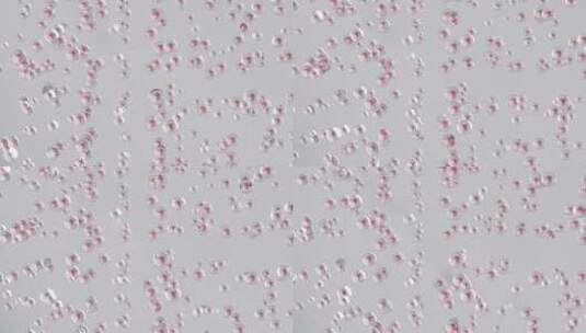 虾青素熊果苷萃取精油分子渗透凝胶高清在线视频素材下载