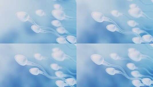 精子细胞3D渲染高清在线视频素材下载