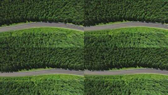 行驶在森林公路上的汽车高清在线视频素材下载