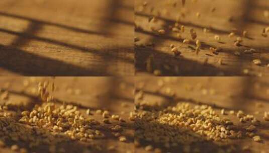 小麦粒掉落6高清在线视频素材下载