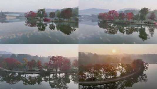 航拍南京前湖公园日出晨雾高清在线视频素材下载