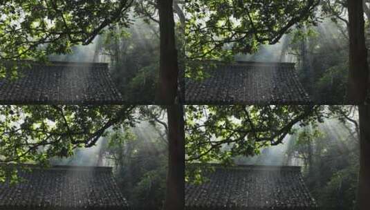 杭州法云安缦古典建筑丁达尔光影晨雾树林高清在线视频素材下载