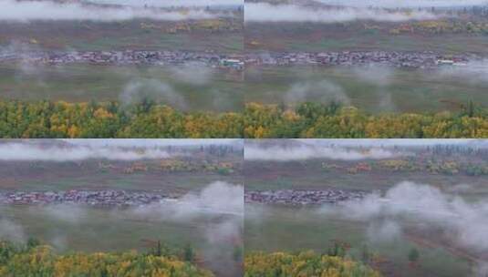 航拍新疆阿勒泰禾木村的秋雾高清在线视频素材下载